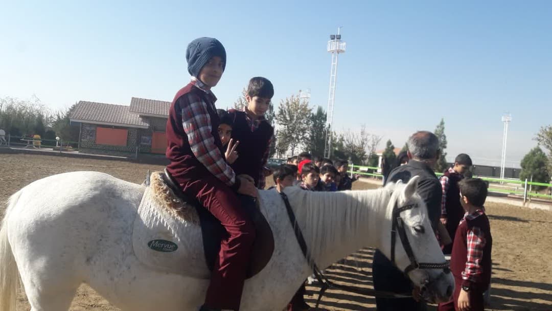 اردویی